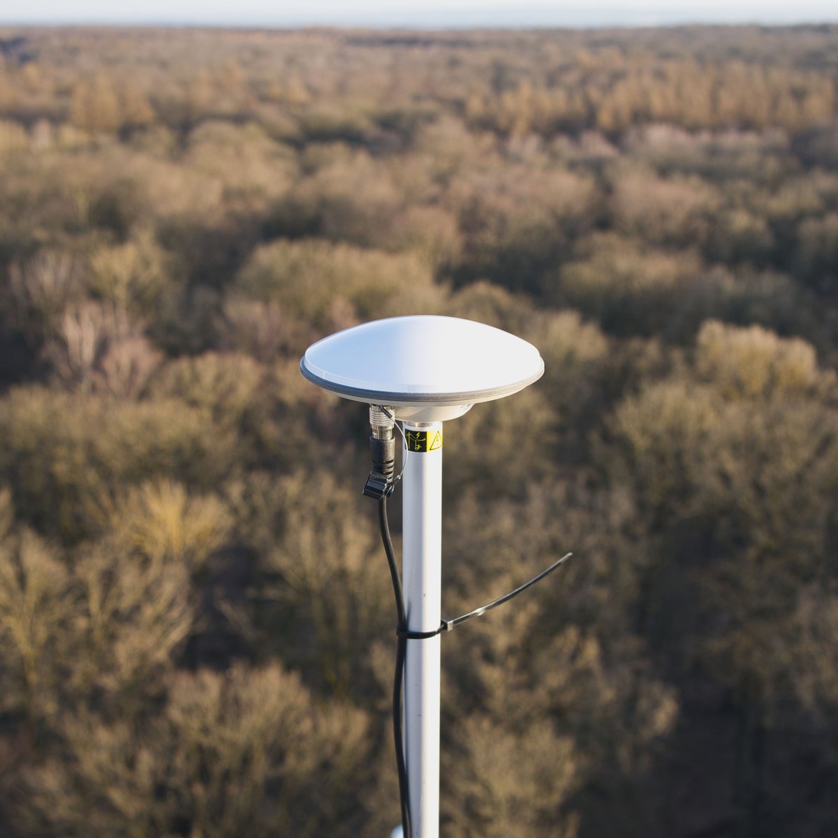 Hohes Holz (DE) - Reference antenna