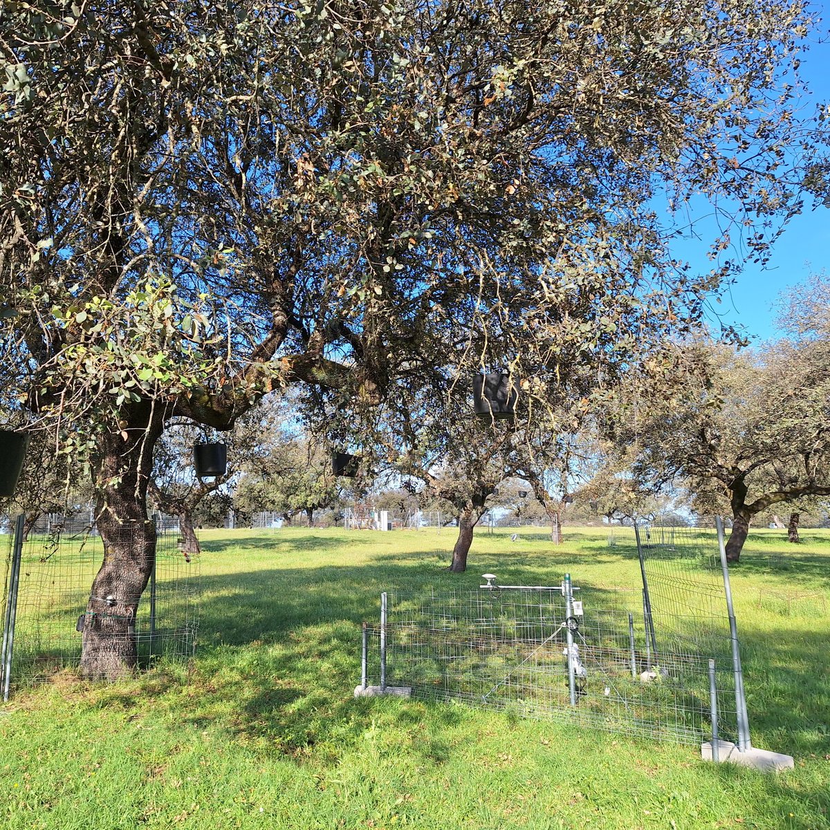 Las Majadas de Tiétar (ES) - Ground antenna