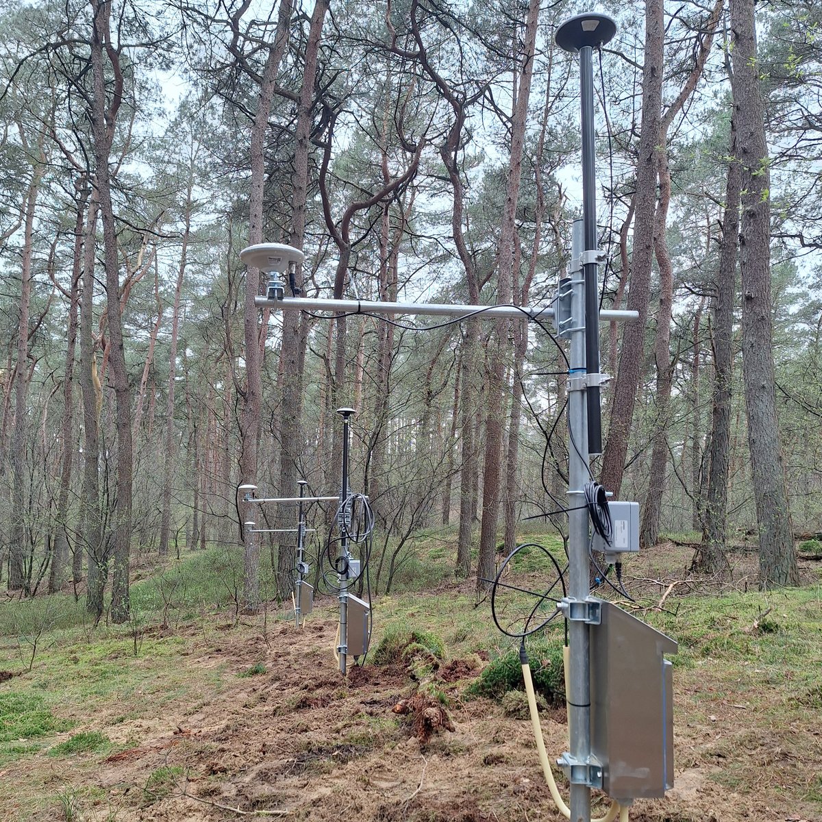 Loobos (NL) - Ground antenna