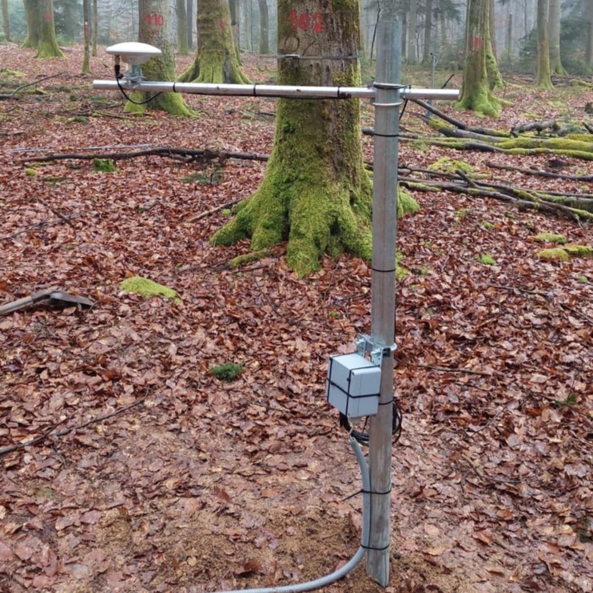 Vielsalm (BE) - Ground antenna