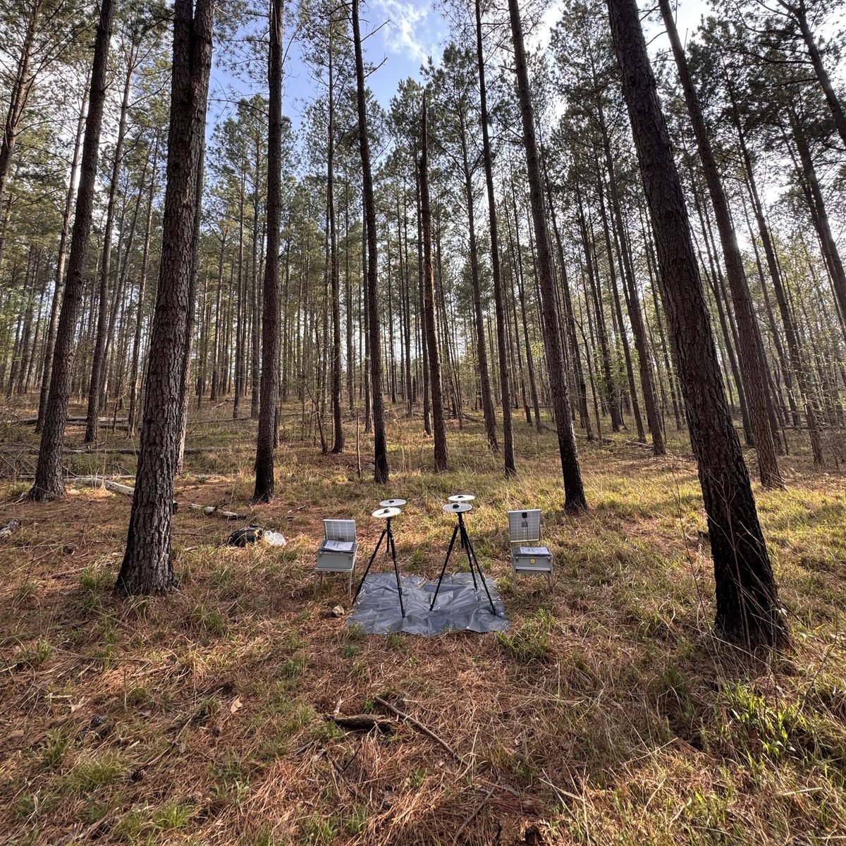 Whitehall forest (USA) - Ground antenna